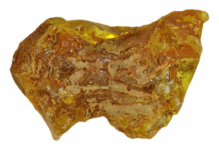 Rough Baltic Amber - Kaliningrad, Russia #132839